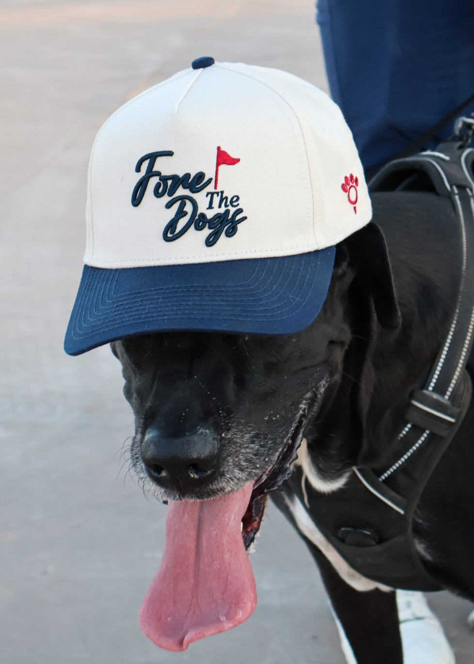 Fore The Dogs Hat - Navy