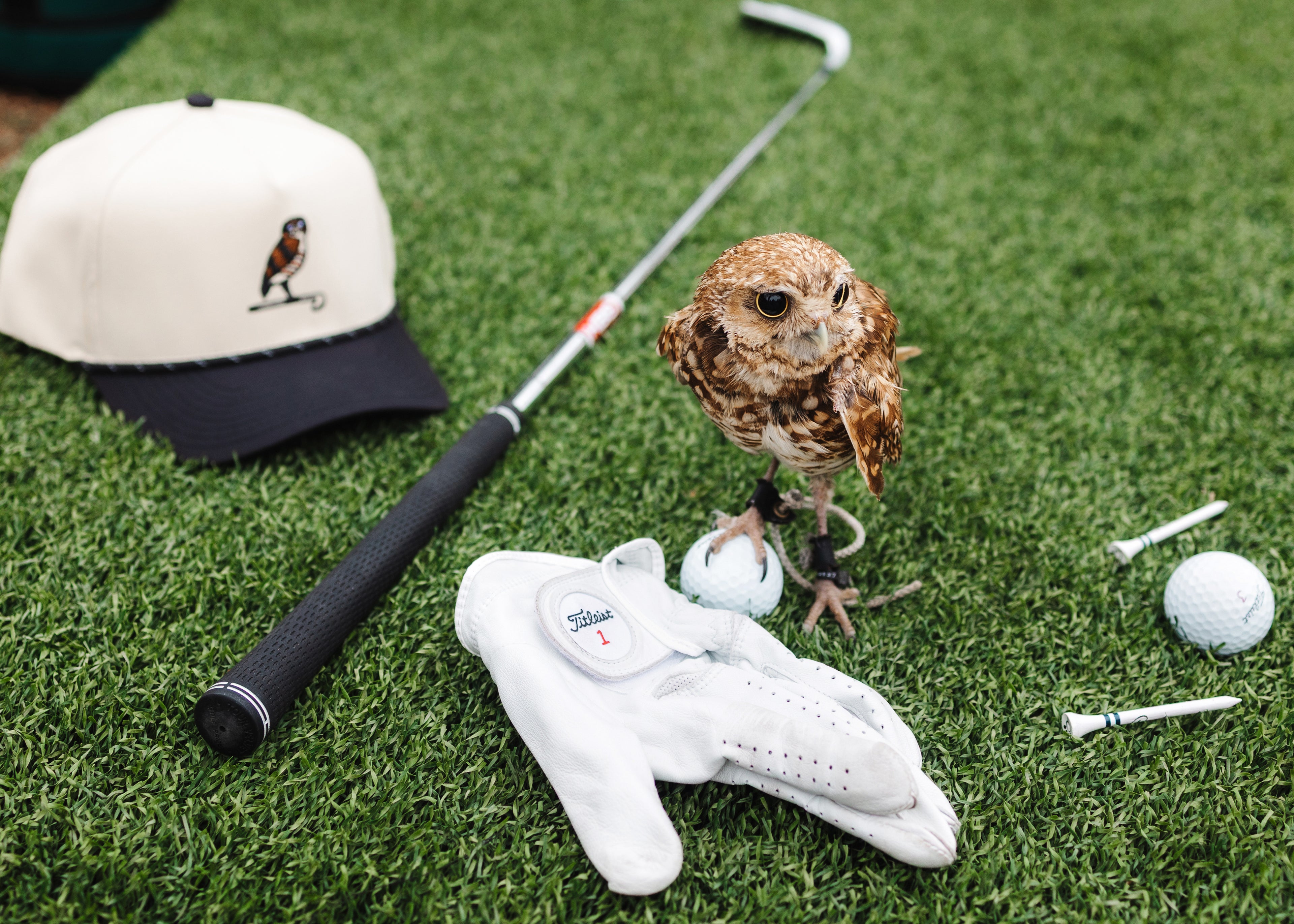 The Burrowing Owl Rope Hat